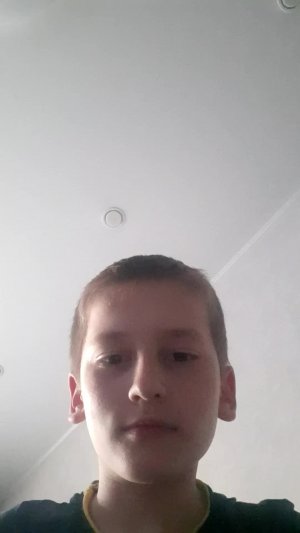 bebra