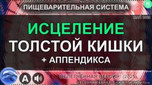 Здоровье Аппендикса и Толстой Кишки Глубокое Восстановление, Очищение и Омоложение Кишечника