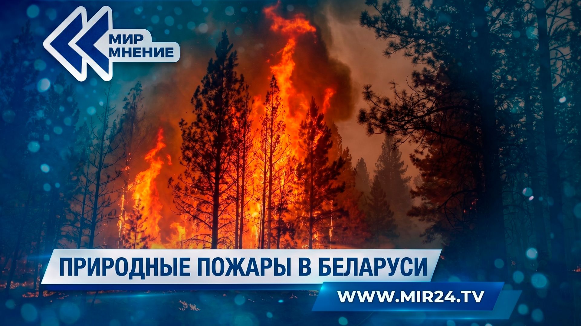 Ситуация с лесными пожары в Беларуси: где наиболее сложная обстановка сейчас?