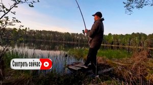 Спокойная рыбалка, кемпинг у дикого озера в надувной палатке
