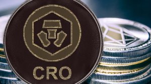 СRO. Как научиться трейдингу.