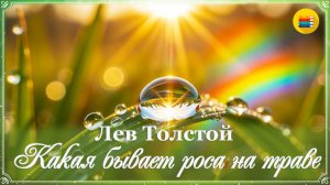✨ Л. Толстой. Какая бывает роса на траве | Рассказы для детей