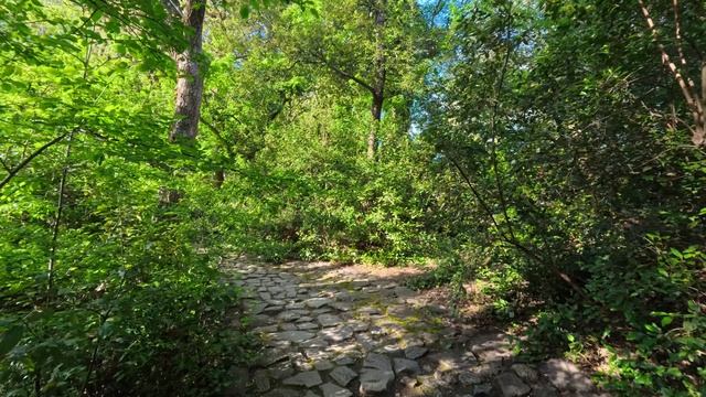 VID_20260503_173328_040
