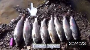 Рыбалка в тайге Сибири. Жили 11 дней Ловля Крупных Хариусов и Ленка Красивейшие Пейзажи Тайги Костры