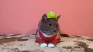 я пописал