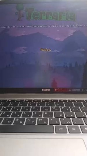 играю в терарию