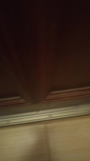 загол по срать