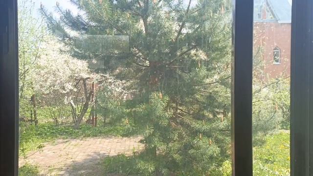 Продажа дом ул Ломоносова.mp4