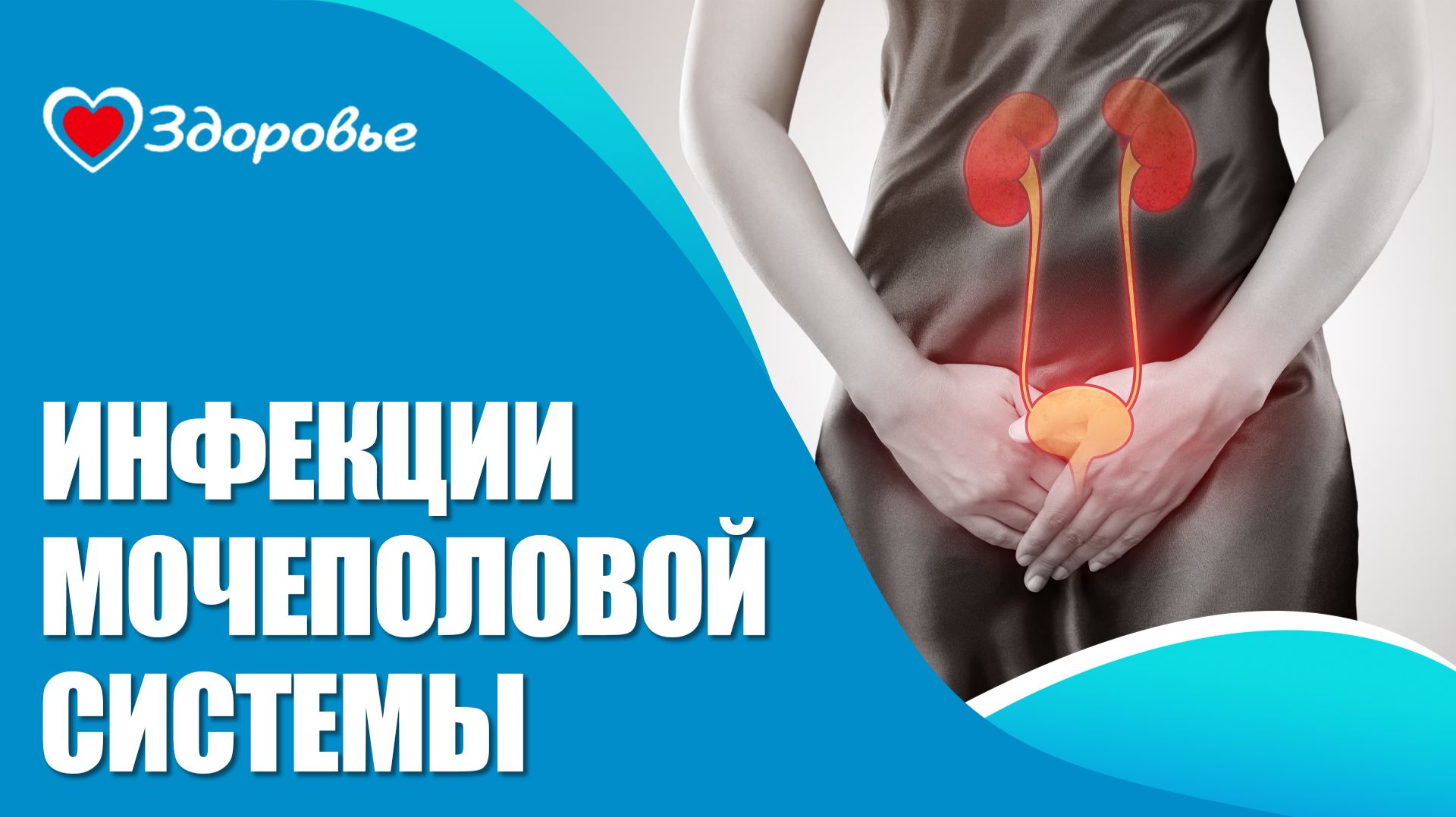 Здоровье. Инфекции мочеполовой системы