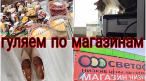 08-05-2026 Светофор и Лента в Мурманске * Фонтан для Барсика * Туфли на выпускной