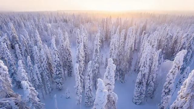 Я нашёл её БЕЗ СОЗНАНИЯ за 100 км от людей. ОНА ОТБЛОГОДАРИЛА ЕГО .