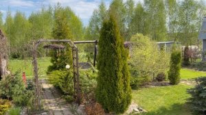 Косим, красим и начали делать сайдинг. Все цветет