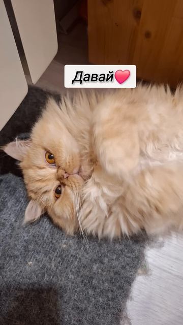Мошенник смотреть онлайн