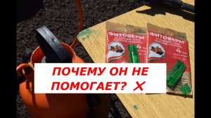 Фитоверм от долгоносика на клубнике: главные секреты и тонкости применения.