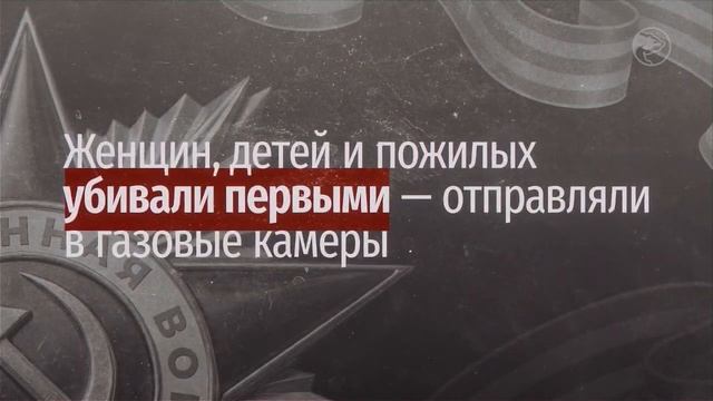 Единая Россия подготовила серию роликов о ветеранах. Героиня первого выпуска - Ксения Ольхова