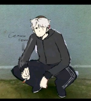 тапок 3
