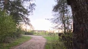 НЕМНОГО КРАСОТЫ
