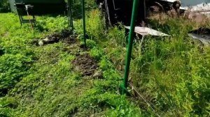 83-Дача..ставить забор не так то просто🤔24.07.22.