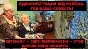 Администрация ЖД района г.Екатеринбурга, где ваша совесть? Дерево превратило в ад жизнь ветерана ВОВ