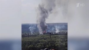 Российские военные освободили Кривую Луку в ДНР и Мирополье в Сумской области.
