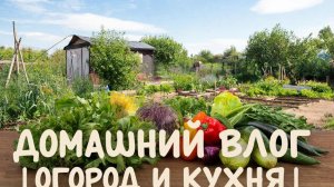🦉Готовлю булгур с овощами в скороварке.Борюсь с травой 💪