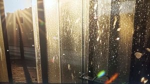 Рыма Чек - Квас Бадун на подходе. Сажать в огороде некому