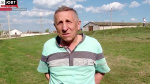 Бил или не бил: ЮВТ-24 изучил стороны конфликта, в центре которого избитый до полусмерти пес