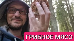Строчков становится всё больше!!! Тихая охота на майские праздники #тихаяохота #грибалка #грибы #лес