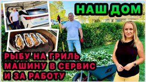 Домашний влог из США: скумбрия на гриле, гости, сервис Lexus и уборка двора