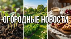 Огородные новости: что уже взошло? Мои хлопоты в саду и уютный влог 🏡