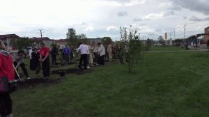 Закладка Аллеи шахтеров- участников Великой Отечественной войны и Аллеи Шахтёрской славы 08.05.2026