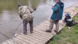 Основной водоём.Форель