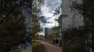 Пробуждение природы в Питере