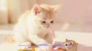 Детские песни-Мой котёнок