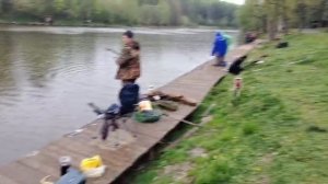 Зачётный Осётрик