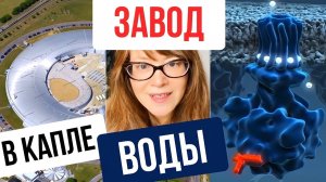 Выращивать электронику в чане с водой. СКИФ, ч. 2