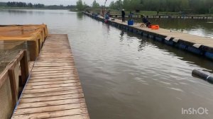 Ежедневное пополнение водоема форелью!