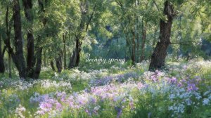 Dreamy spring 🌼 relaxing playlist for reading, studying & calm focus