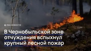 В Чернобыльской зоне отчуждения вспыхнул крупный лесной пожар