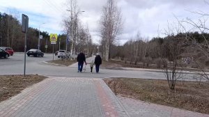 Едят с руки. Смотрим новое жилье в Сургуте