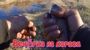 Рыбалка на карася. Два часа и наловил на ПОЖАРИТЬ. Вечерний клёв на озере