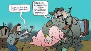 Мошенники всех мастей (сборник 107)
