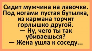 Сидит мужчина на лавочке. Под ногами пустая бутылка, из кармана торчит другая... | Анекдоты смешные