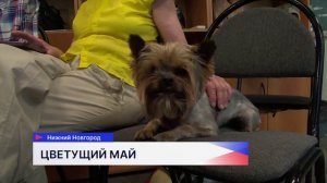 Программу «Звенит Победой май цветущий» для женщин «Активного долголетия» провели в «Швейцарии»