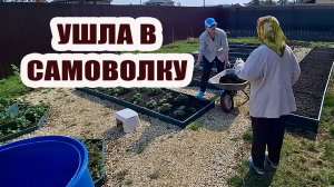 Потеряли маму и чуть не сожгли новую пилу