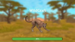 Только для wildbonos