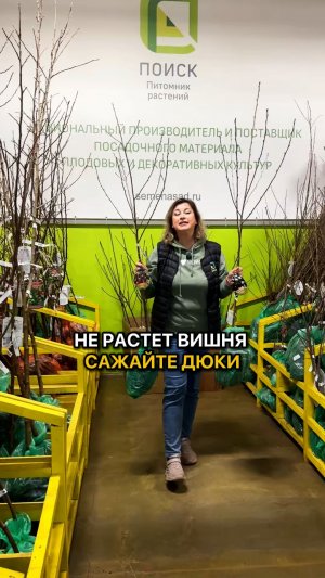 В чем ПРЕИМУЩЕСТВО дюков?