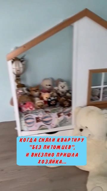 Юмор 5 звезд - #юмор #смешно #ржач #прикол #анекдот #веселоевидео