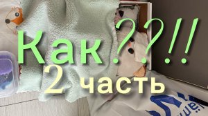 Часть 2. Как?! Лучшие друзья навсегда ♾️