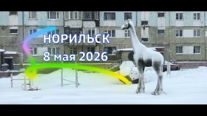 Норильск | 8 мая 2026
